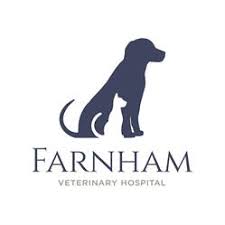 Farnham Veterinary Hospital – Fun & Fitness Hydro Session (A)