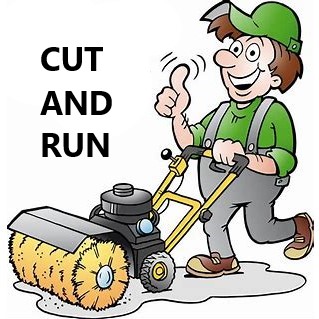 Cut & Run – Half Day Gardening Service