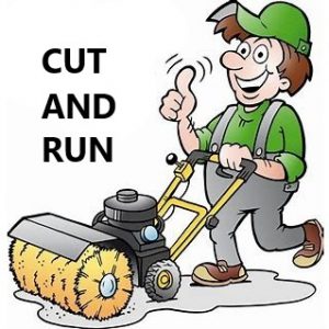 3 Hours Gardening Service